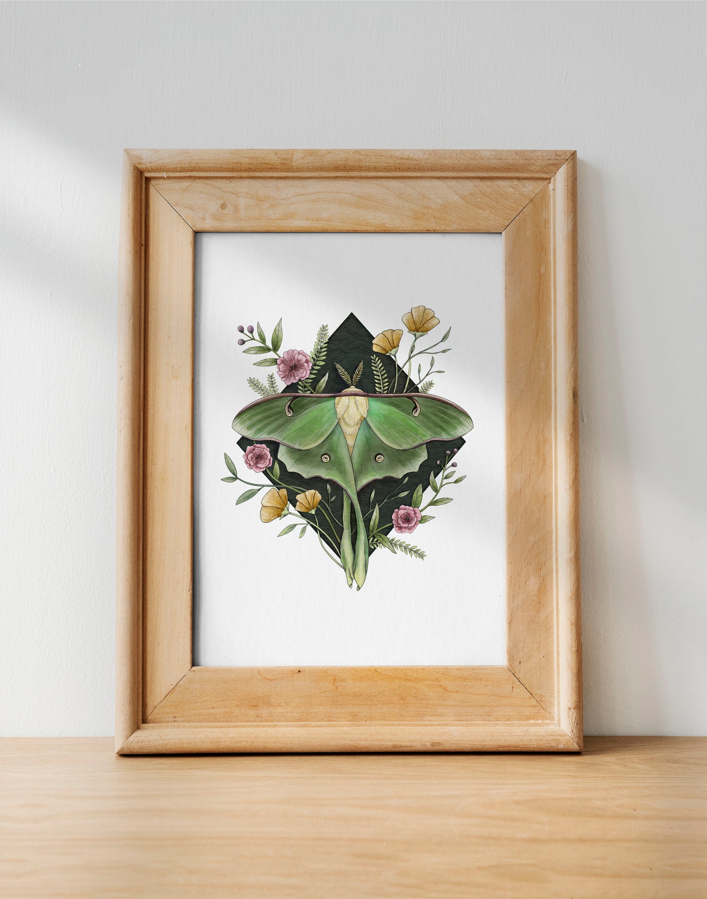 Moth Giclée Art Print Bundle