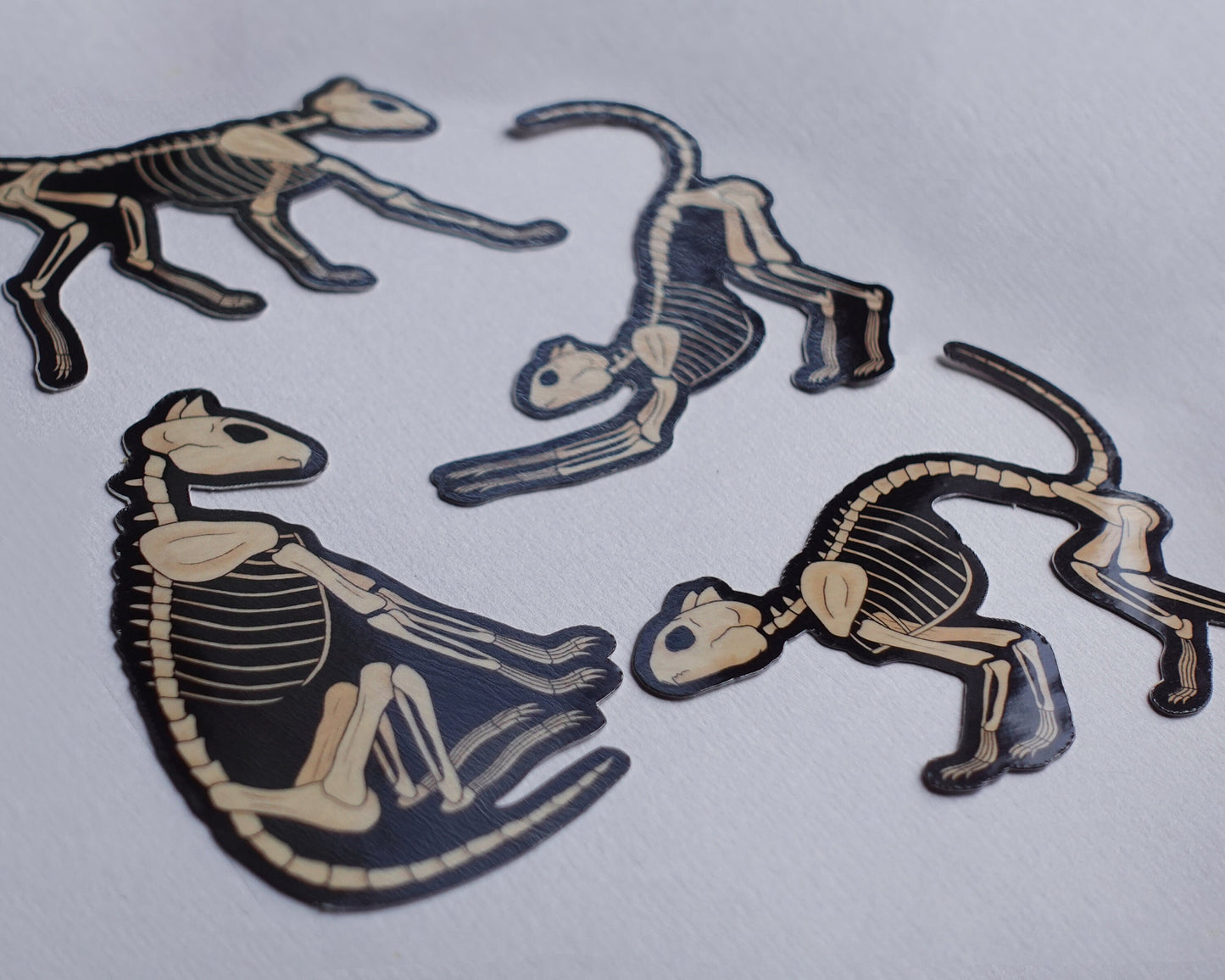 Skeleton Cat Sticker Pack