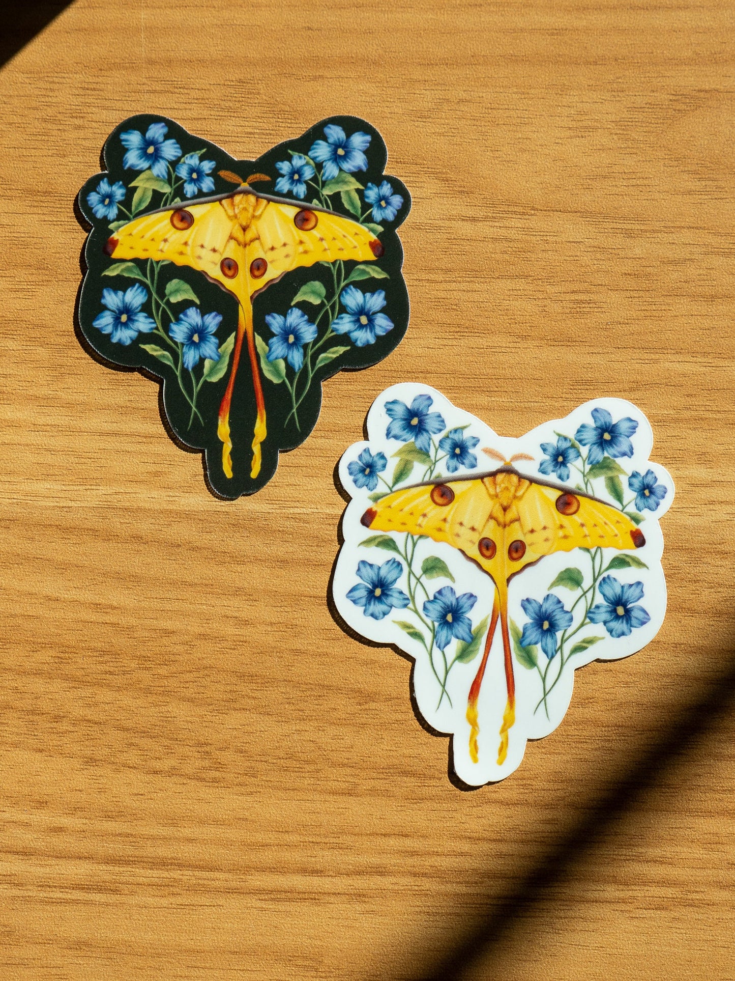 Comet Moth Sticker