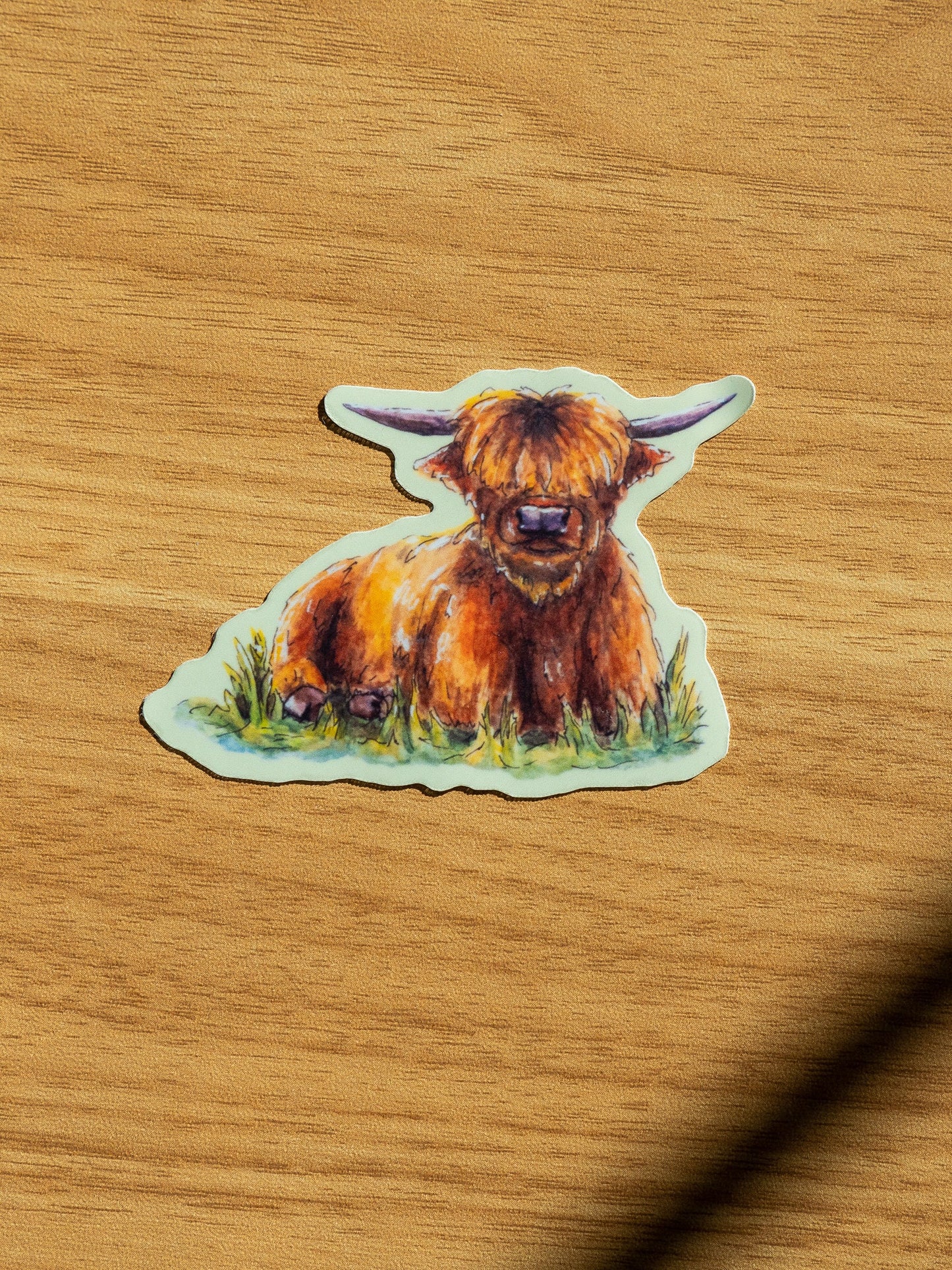 Highland Cow Sticker