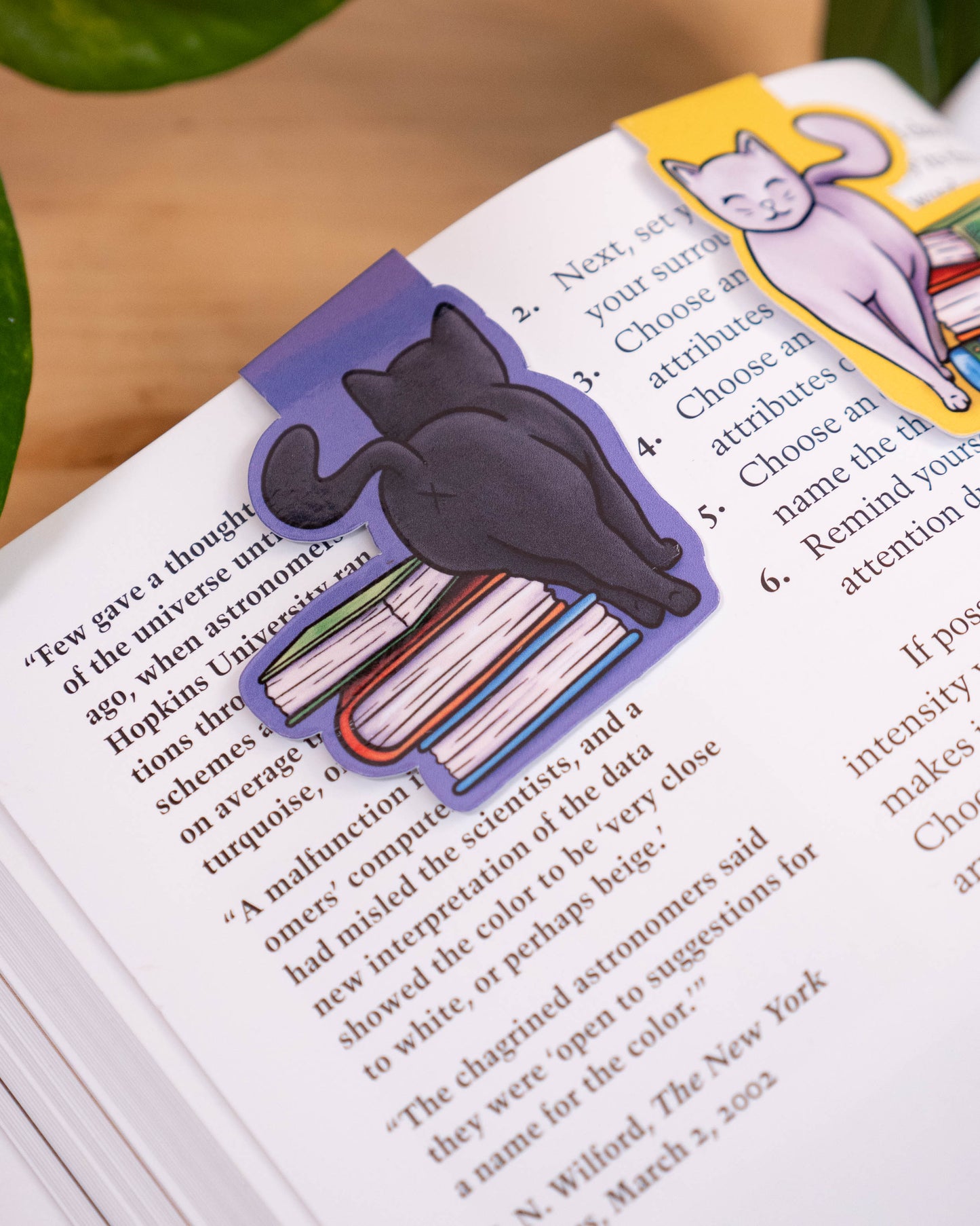 Bookish Cat Magnetic Bookmark