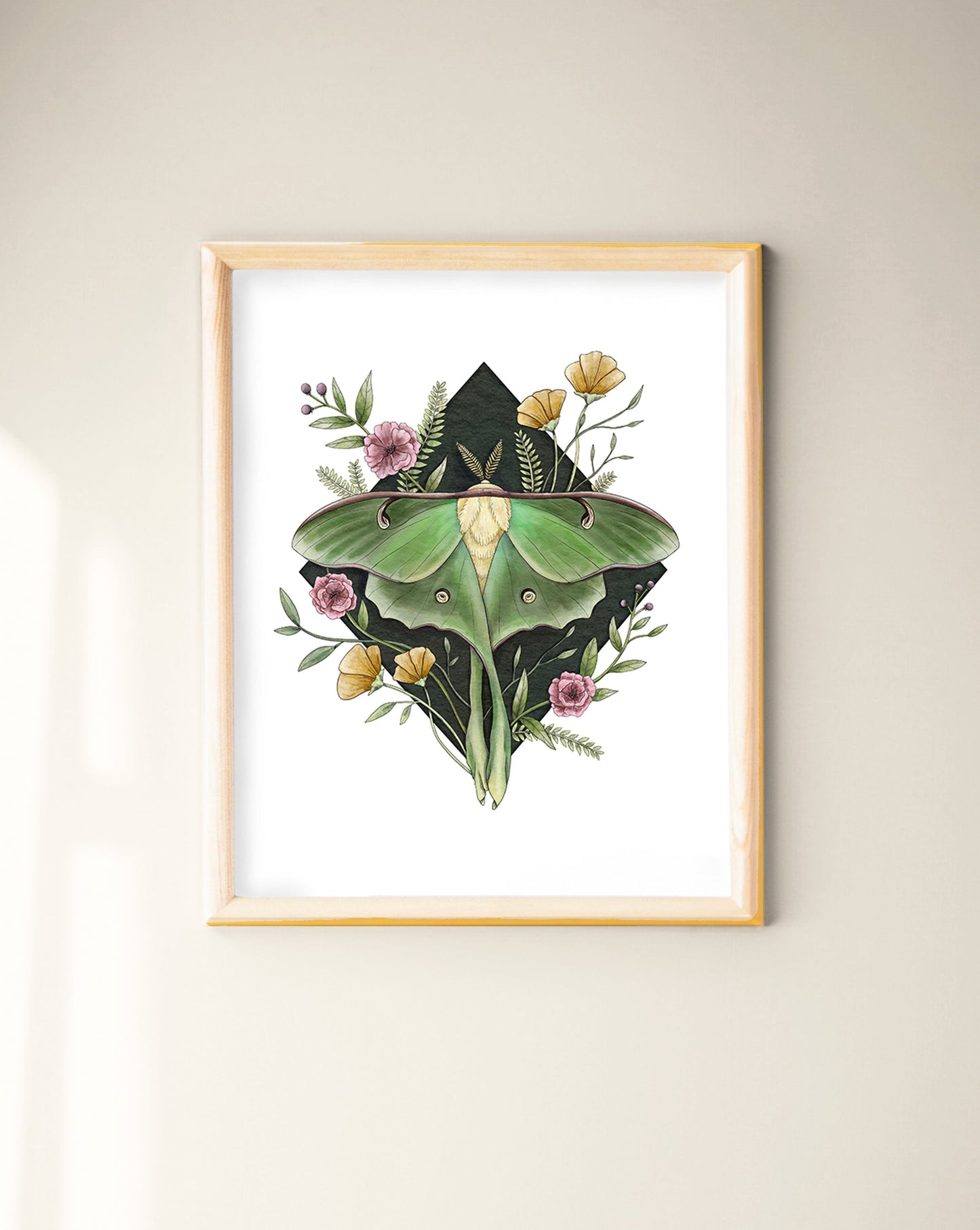 Moth Giclée Art Print Bundle
