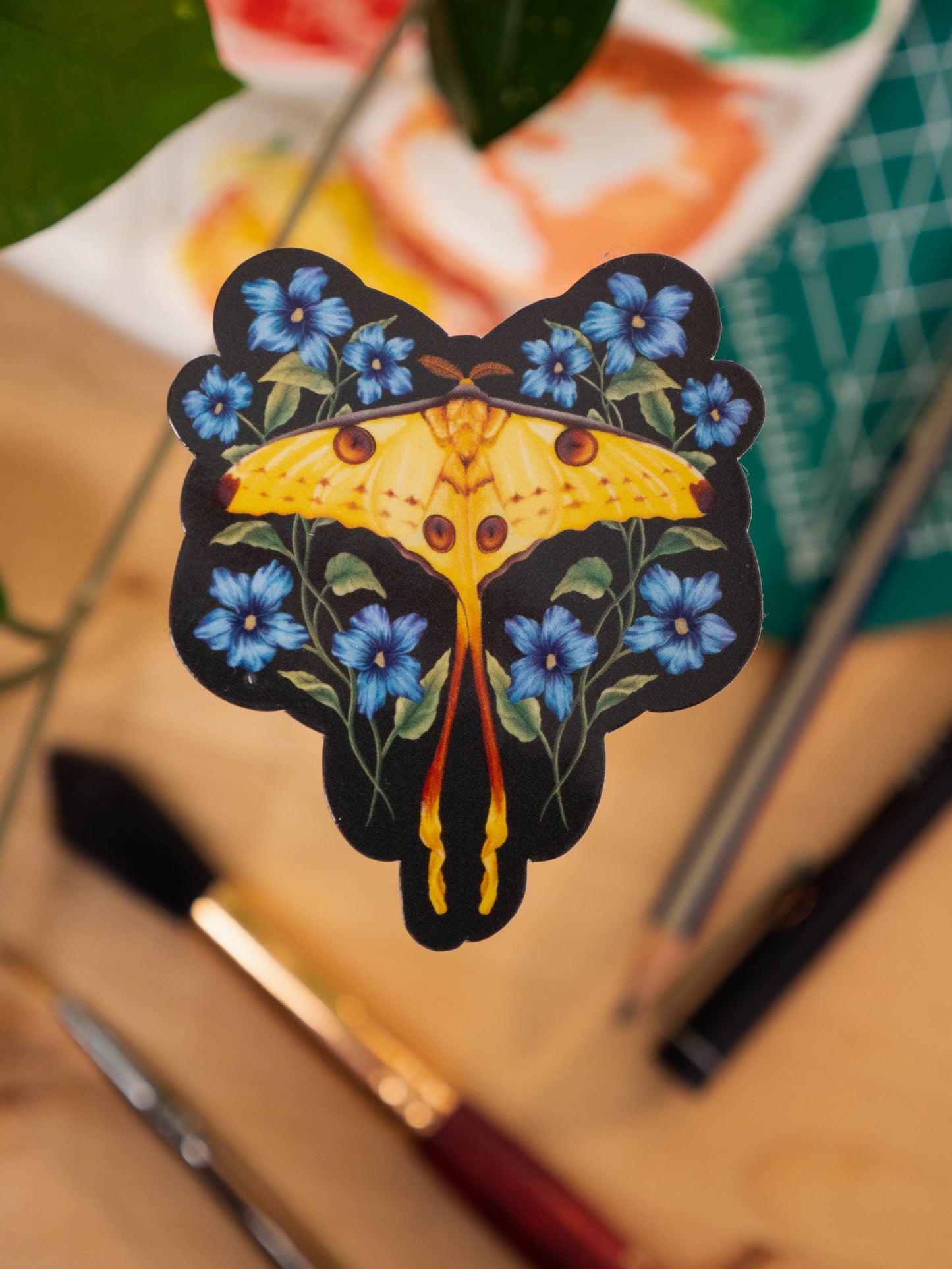 Comet Moth Sticker