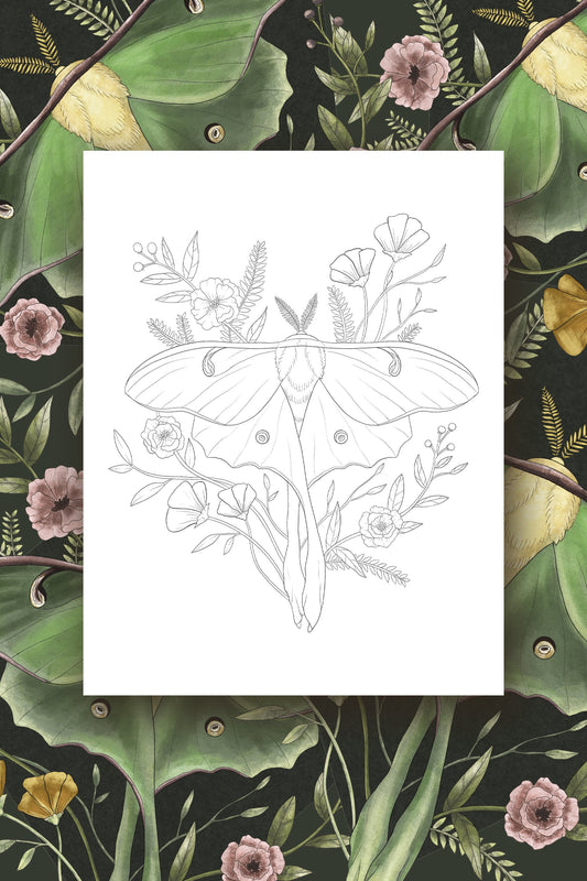 Luna Moth Coloring Page - Digital Download