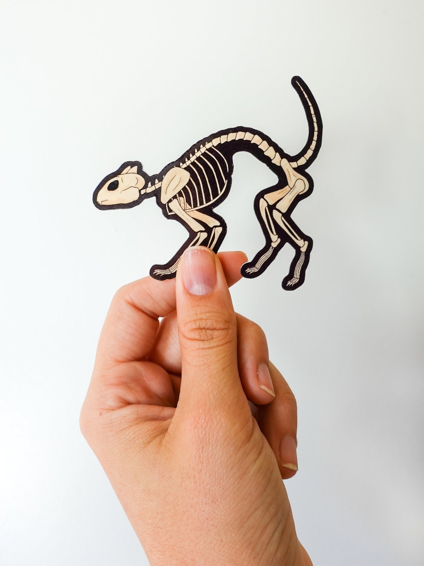 Skeleton Cat Sticker Pack