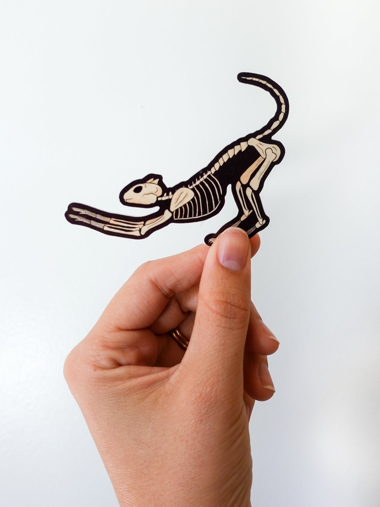 Skeleton Cat Sticker Pack