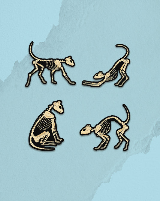 Skeleton Cat Sticker Pack